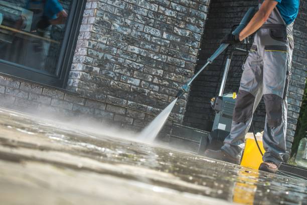 Best Animal Enclosure Cleaning  in Palm City, FL