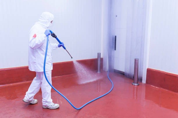 Professional Pressure Washing Services in Palm City, FL